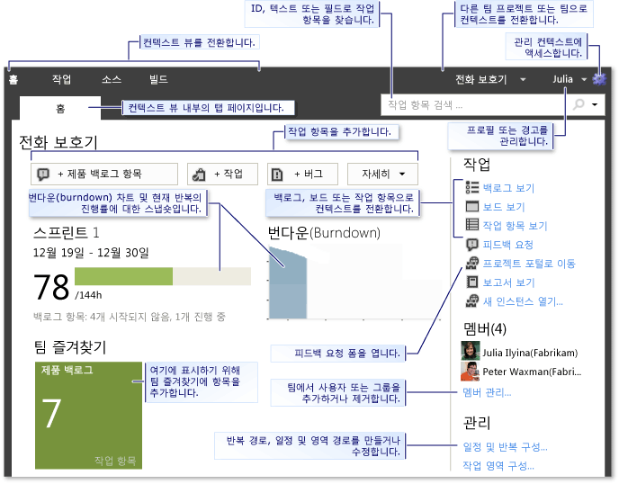 홈 페이지(Team Web Access)