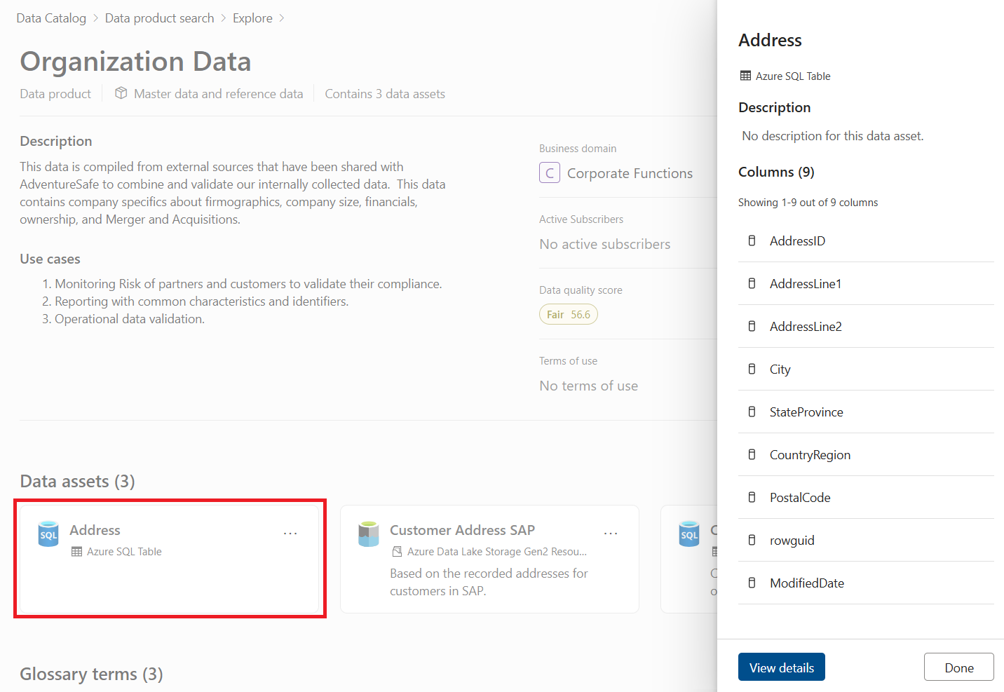 Screenshot of the data asset details pane within a data product.