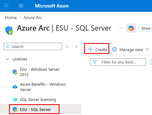 Azure 포털의 ESU 라이선스 리소스 페이지의 스크린샷.