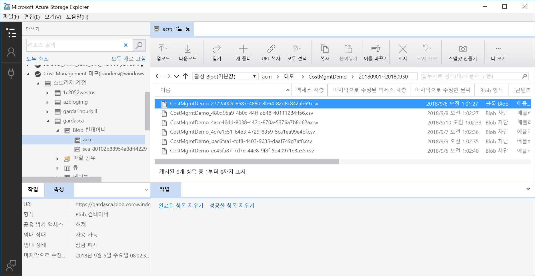 Screenshot of example information shown in Storage Explorer.