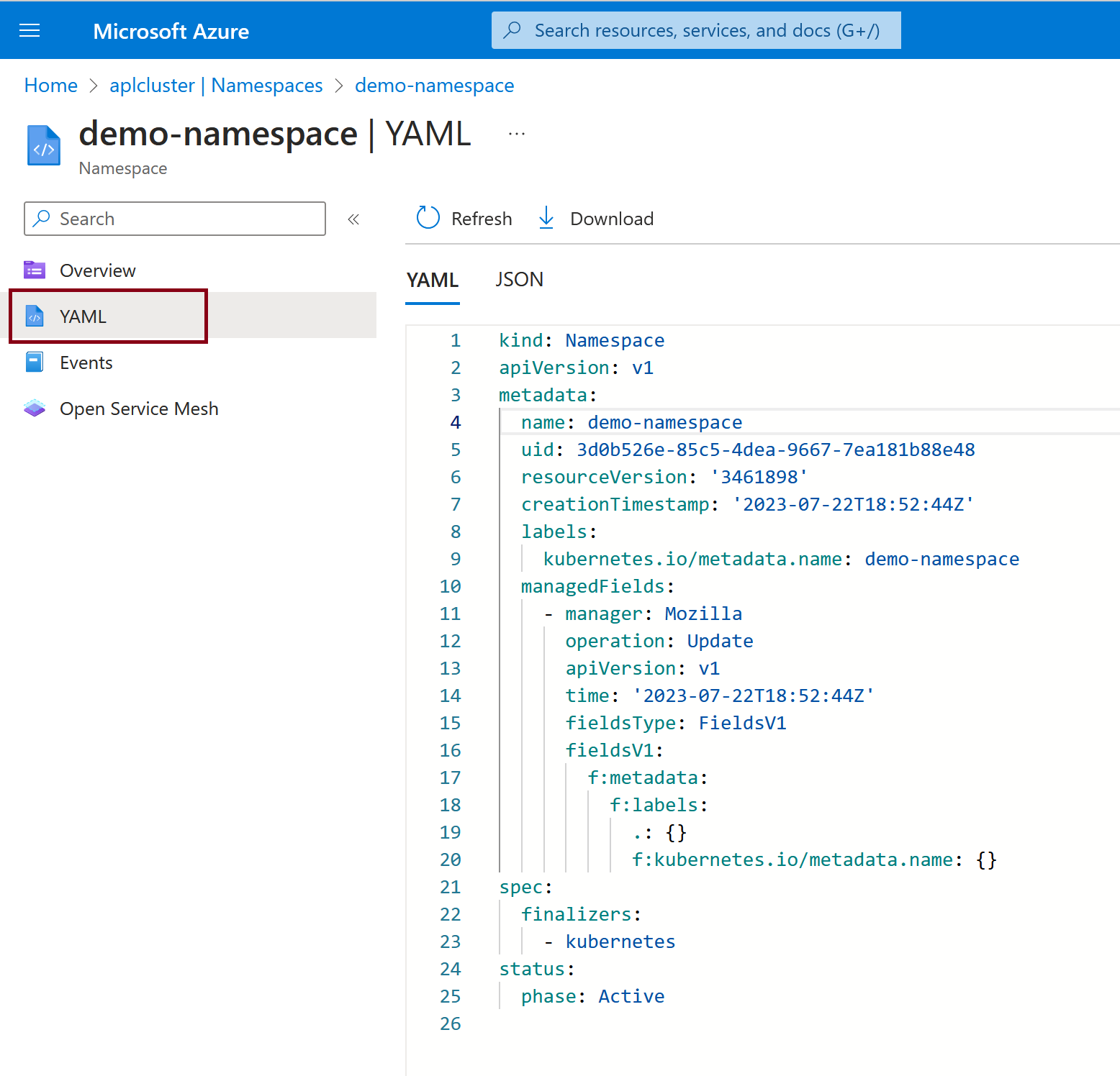 네임스페이스에 대한 YAML의 스크린샷