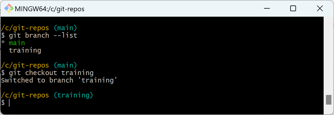 학습 분기에 대한 git 체크 아웃 명령의 스크린샷.