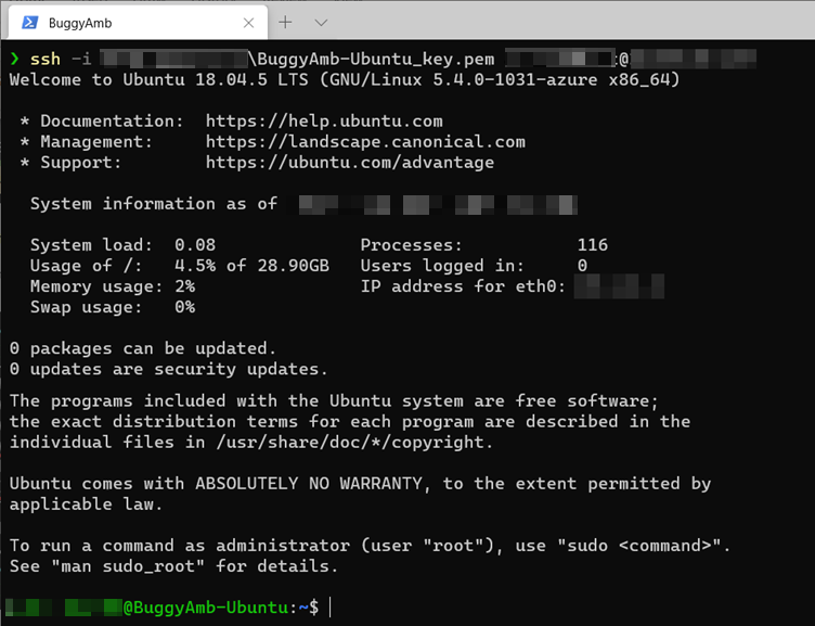 ssh 명령의 스크린샷.