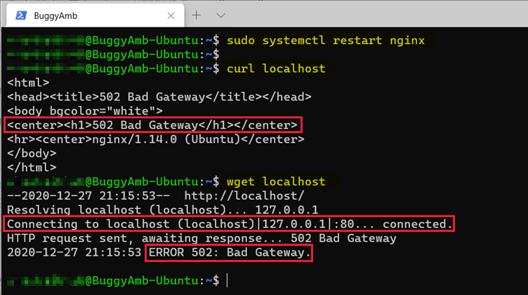 wget 명령의 스크린샷.