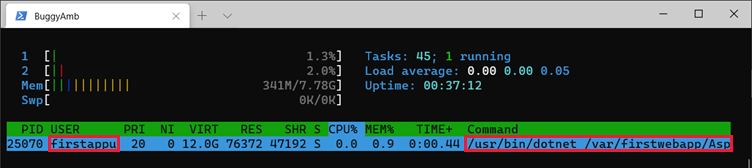 htop -p 명령의 스크린샷.