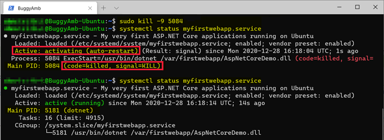 kill 명령의 스크린샷.