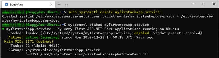 sudo systemctl enable 명령의 스크린샷.