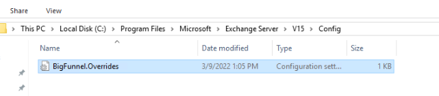 구성 디렉터리의 BigFunnel.Overrides.ini 파일 스크린샷