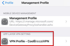 VPN 프로필이 관리 프로필에 나열되어 있음을 보여 주는 스크린샷