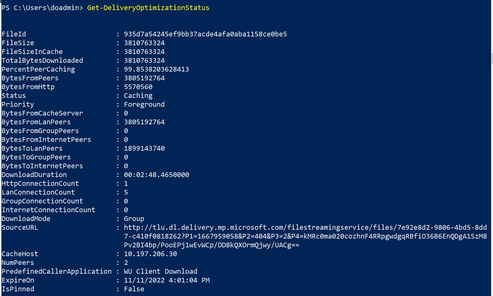 Windows 10 21H2 - Machine 2 - Advanced BytesToPeers 테스트.