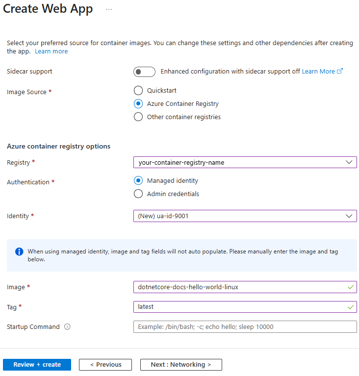 Screenshot that shows Azure Container Registry options.