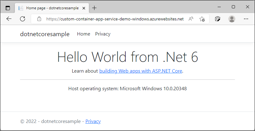 Screenshot that shows the Windows App Service.