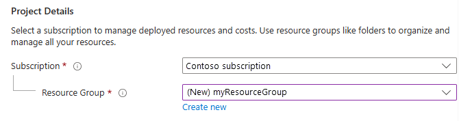 Screenshot that shows the project details section where you select the Azure subscription and the resource group for the web app.