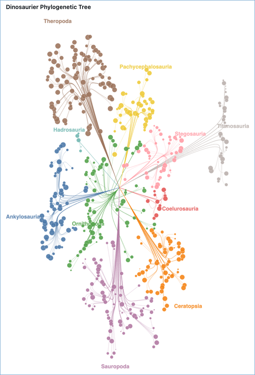 Phylogenetic tree chart example