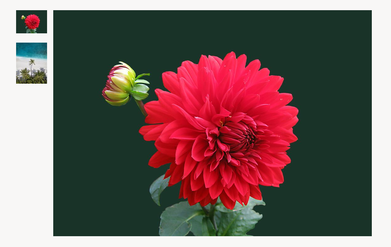 Screenshot of a media gallery module that has curated images.