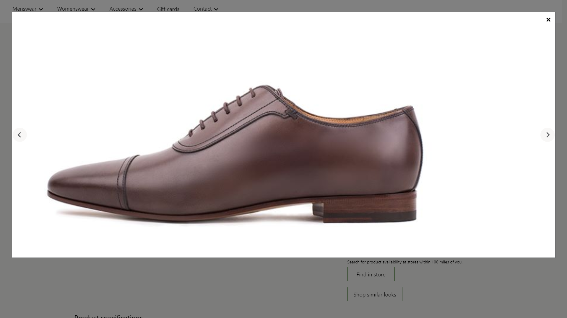 Screenshot of a media gallery module where the full-screen and zoom options are available.