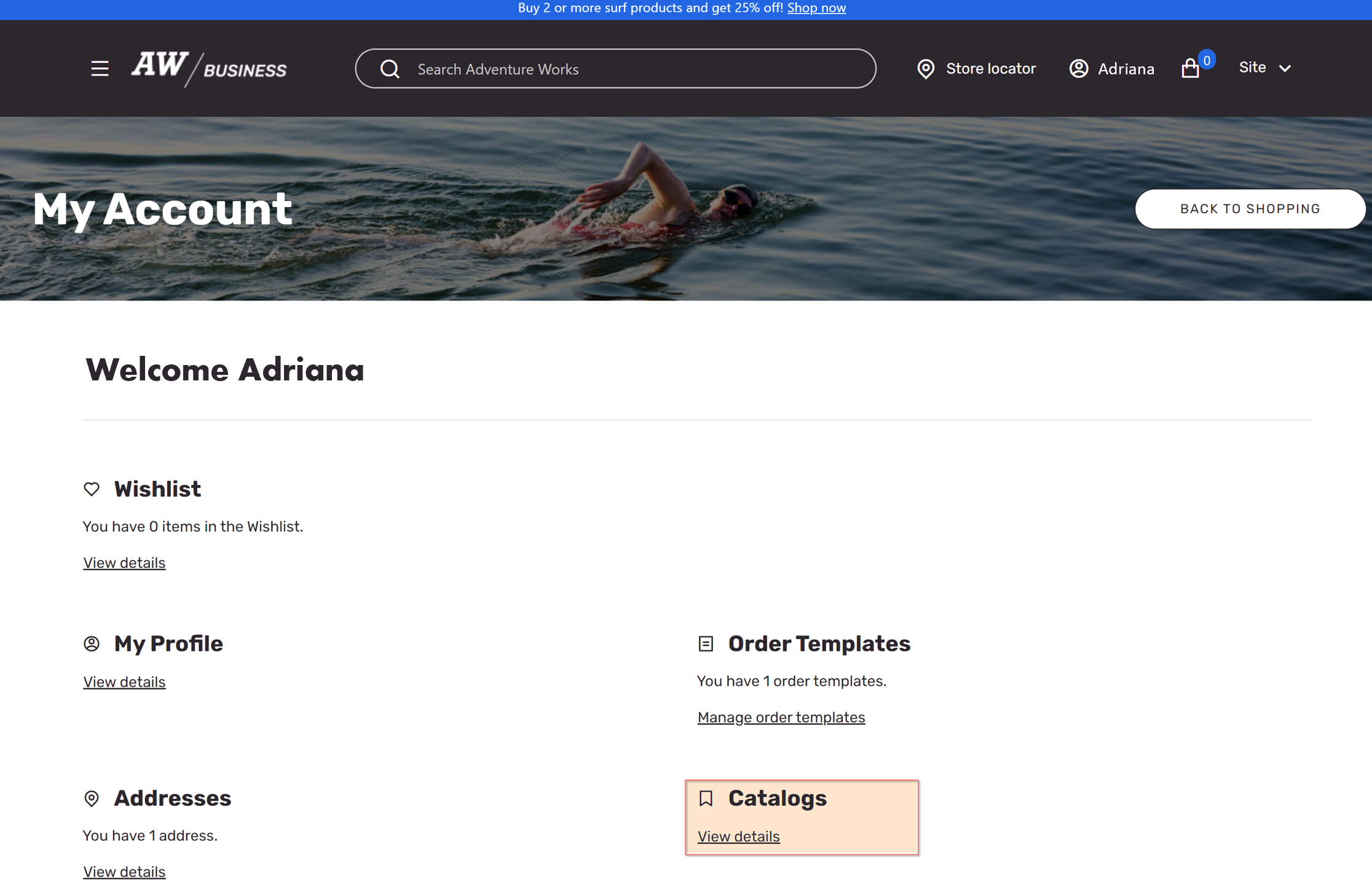 Screenshot of the My accounts page with link to catalog.