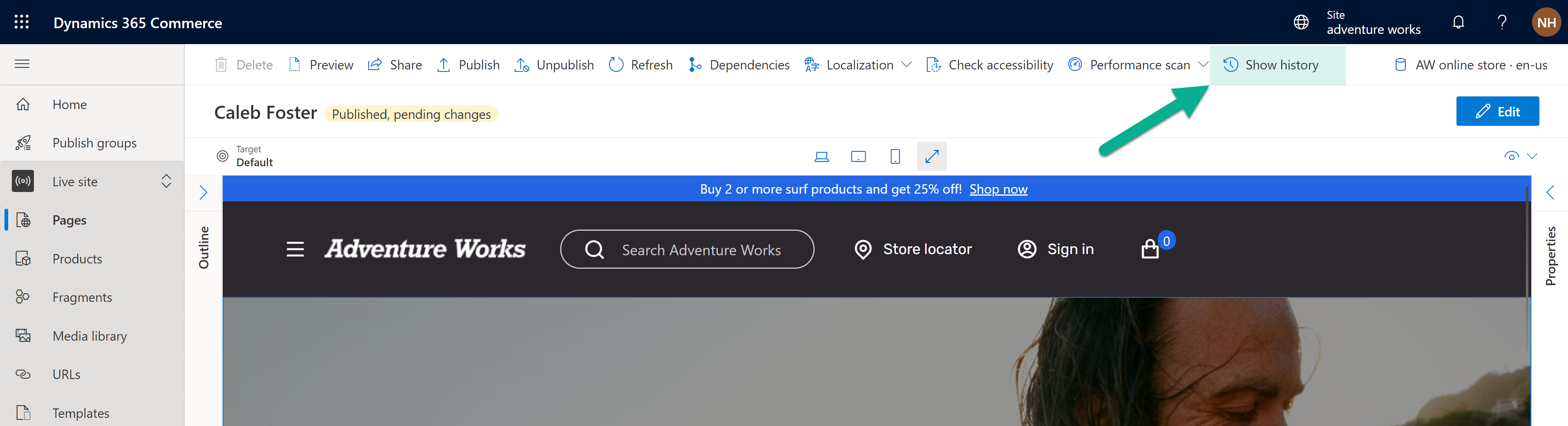 Screenshot of the Show history button.