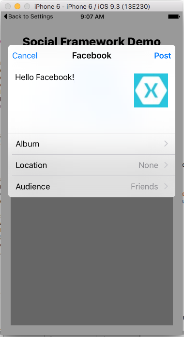 The SLComposeViewController display