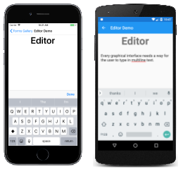 Editor Example Editor Example