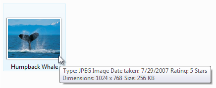 screen shot of long, unstructured, run-on tooltip