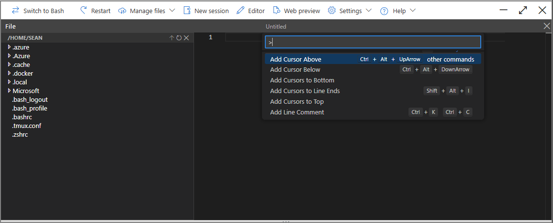 Screenshot of the command palette.