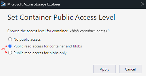 Screenshot shows options to set container public access level.