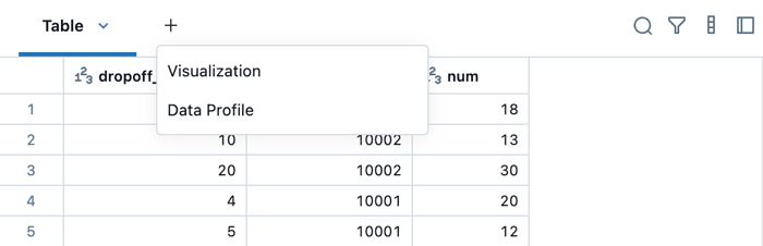 Notebook results table with Visualization option shown.
