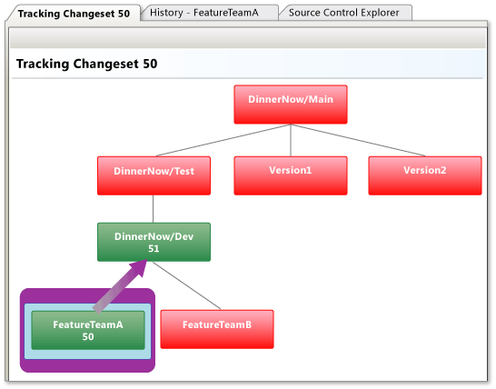 Screenshot that shows the Tracking Changeset window for checking in and merging a branch.