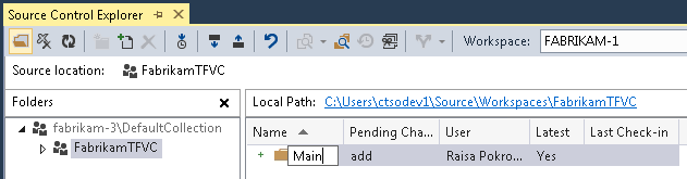Screenshot that shows renaming the new folder in Source Control Explorer.