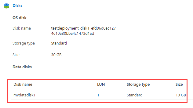 Screenshot showing the Data disks section of the Details pane for a virtual machine. A data disk entry is highlighted.