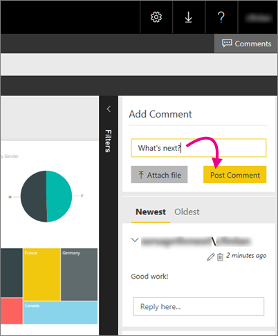 Screenshot of the Comments pane with the Post Comment option in the report server web portal.