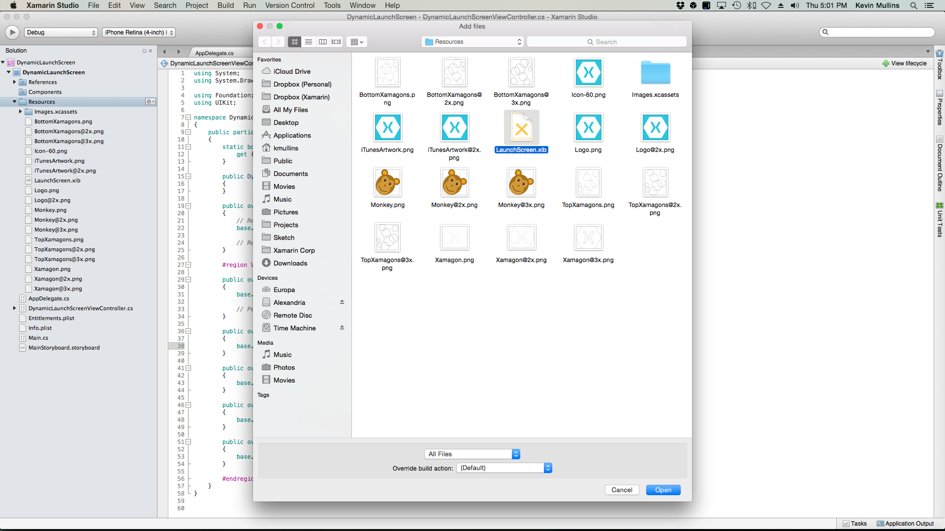Select the LaunchScreen.xib file