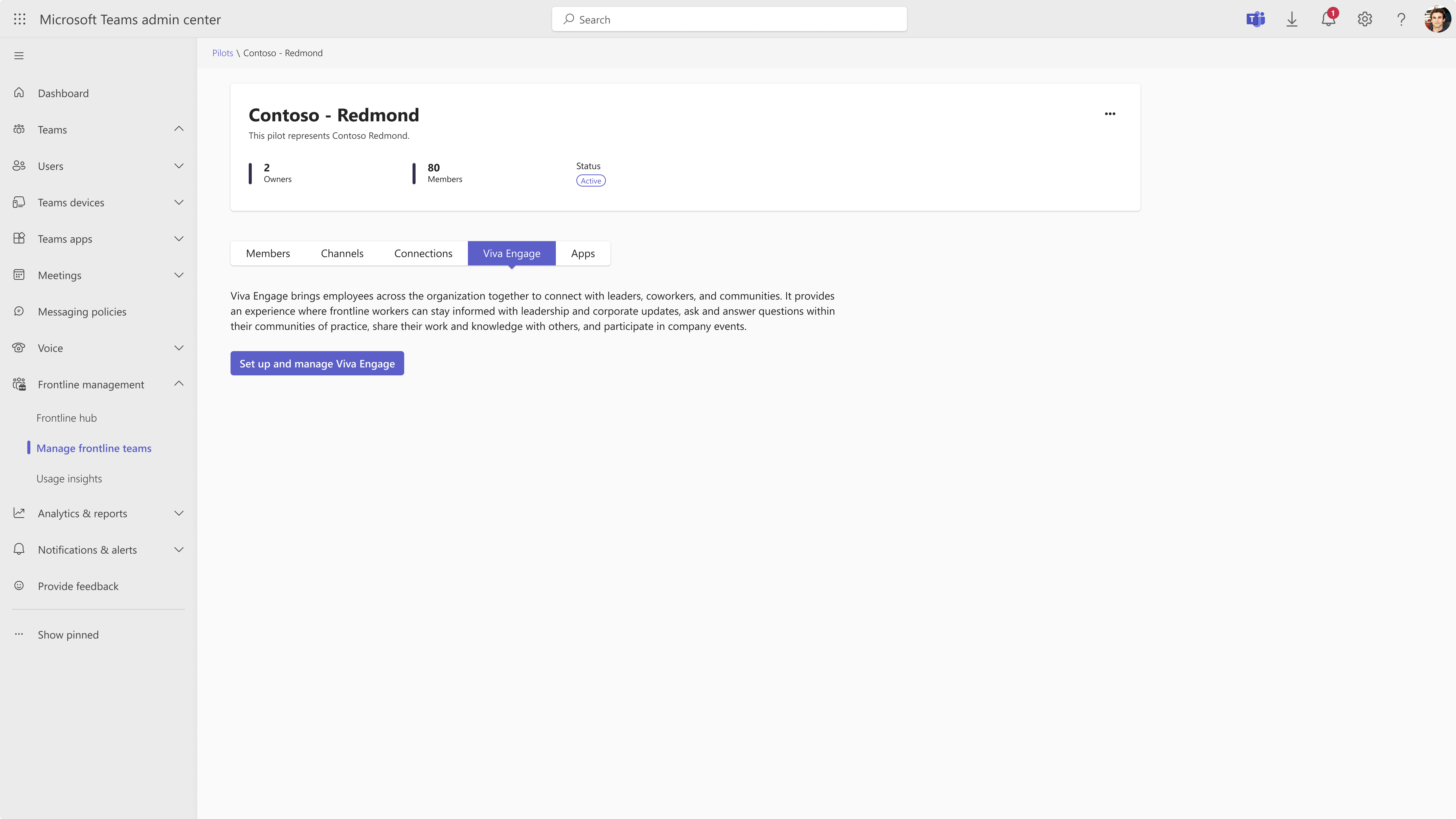 Screenshot of page to manage Viva Engage in the pilot.