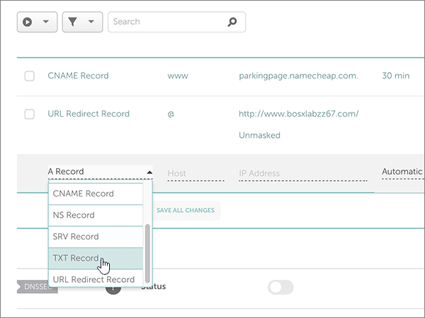 Select TXT Record for the domain verification TXT record.