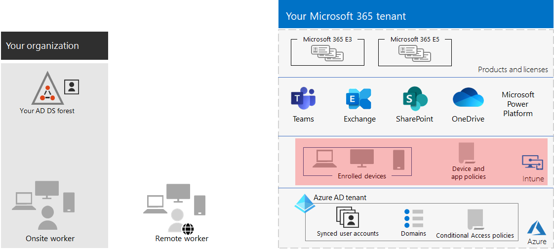 Example of a tenant with Intune device and app management.