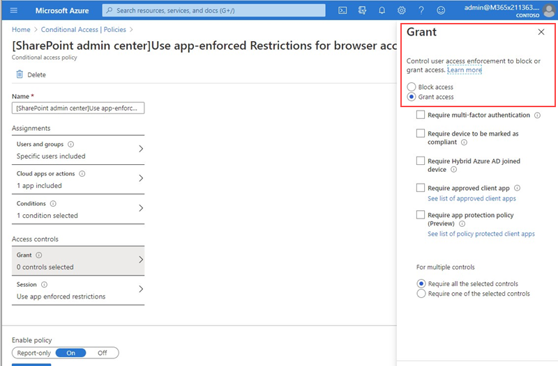 grant access is enabled.