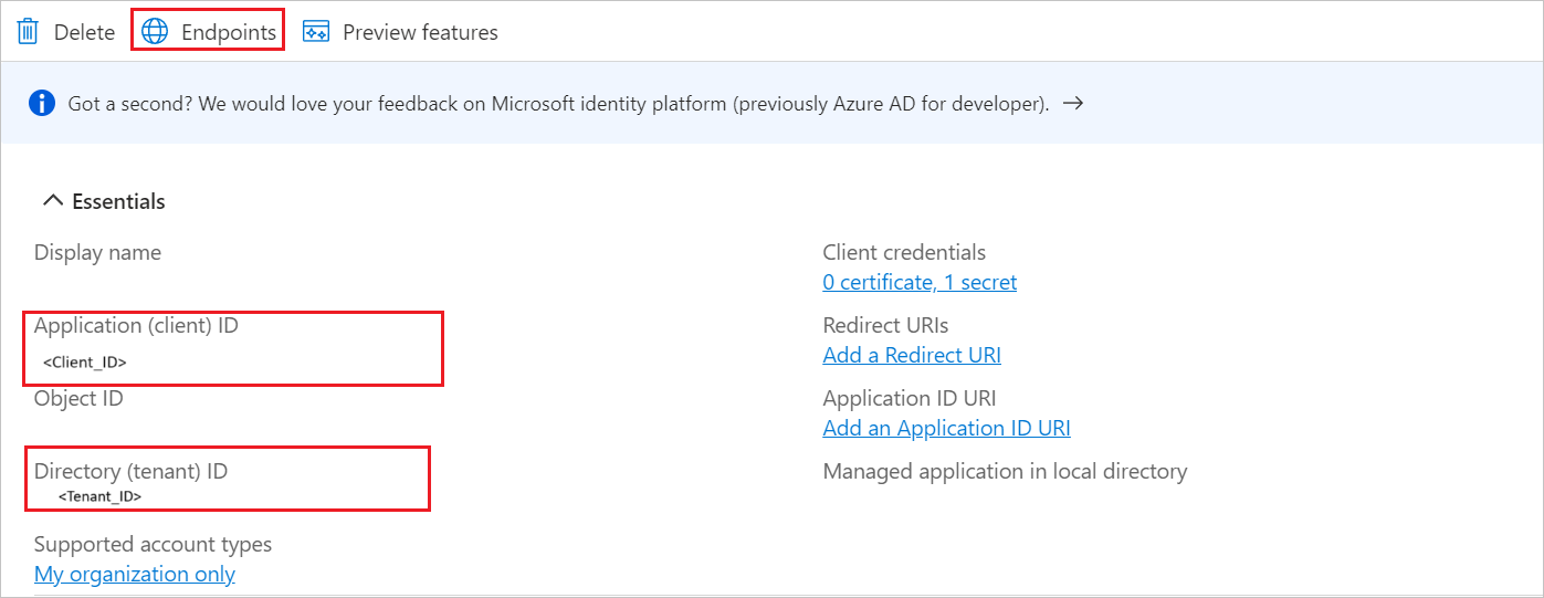 Screenshot of application client values.