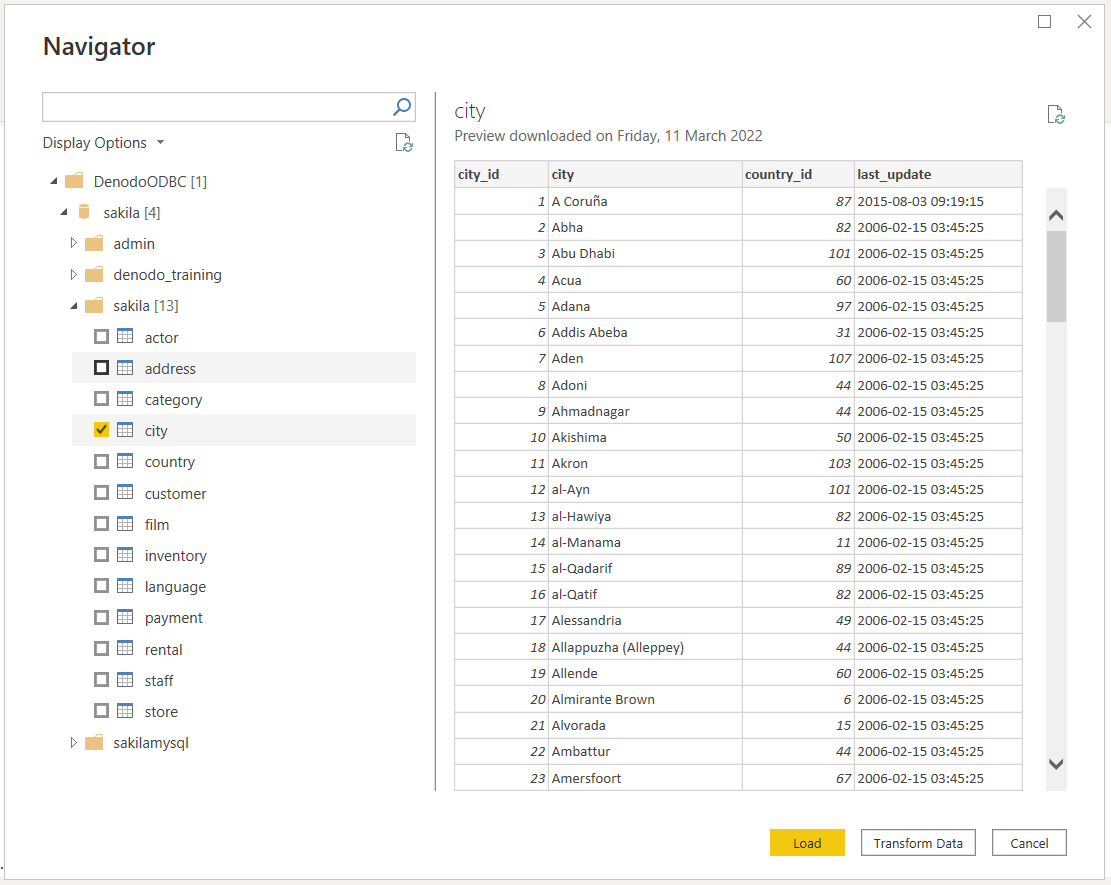 Screenshot of the Denodo navigator.