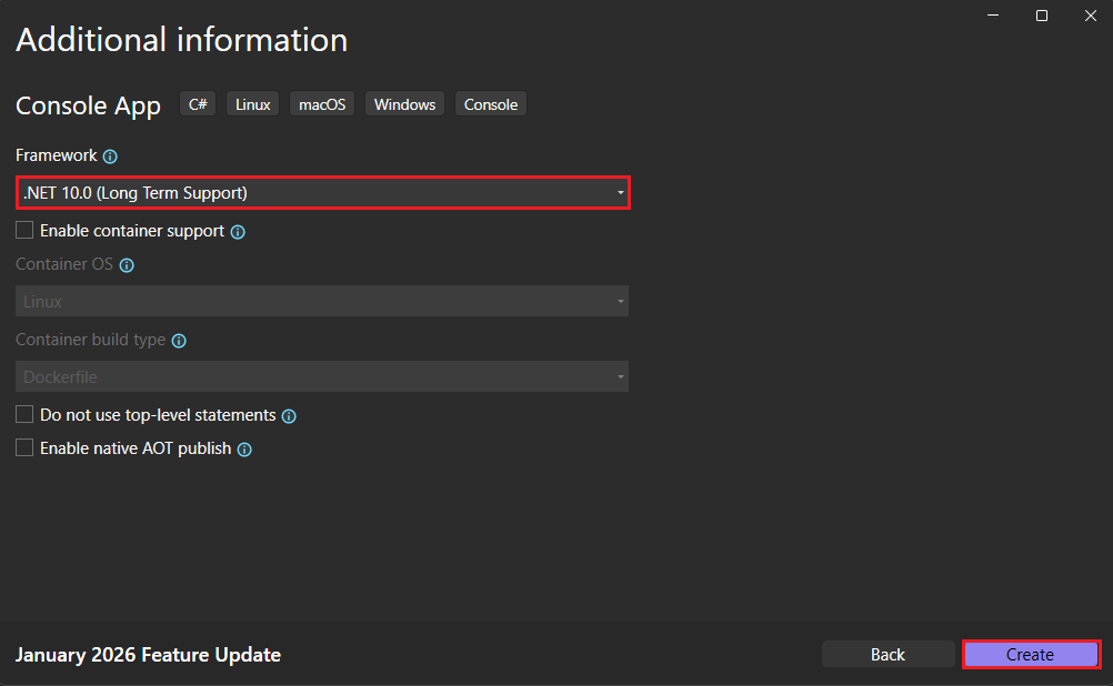 Enter additional information for the console app.