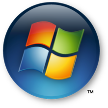 screen shot of windows logo