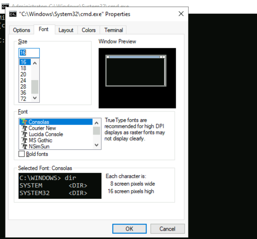 Screenshot of command prompt font options.