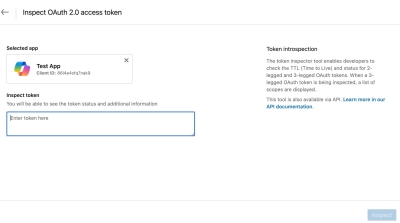 Developer Portal Token Inspector