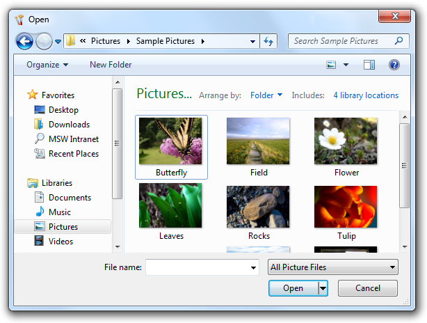 screen shot of open dialog box