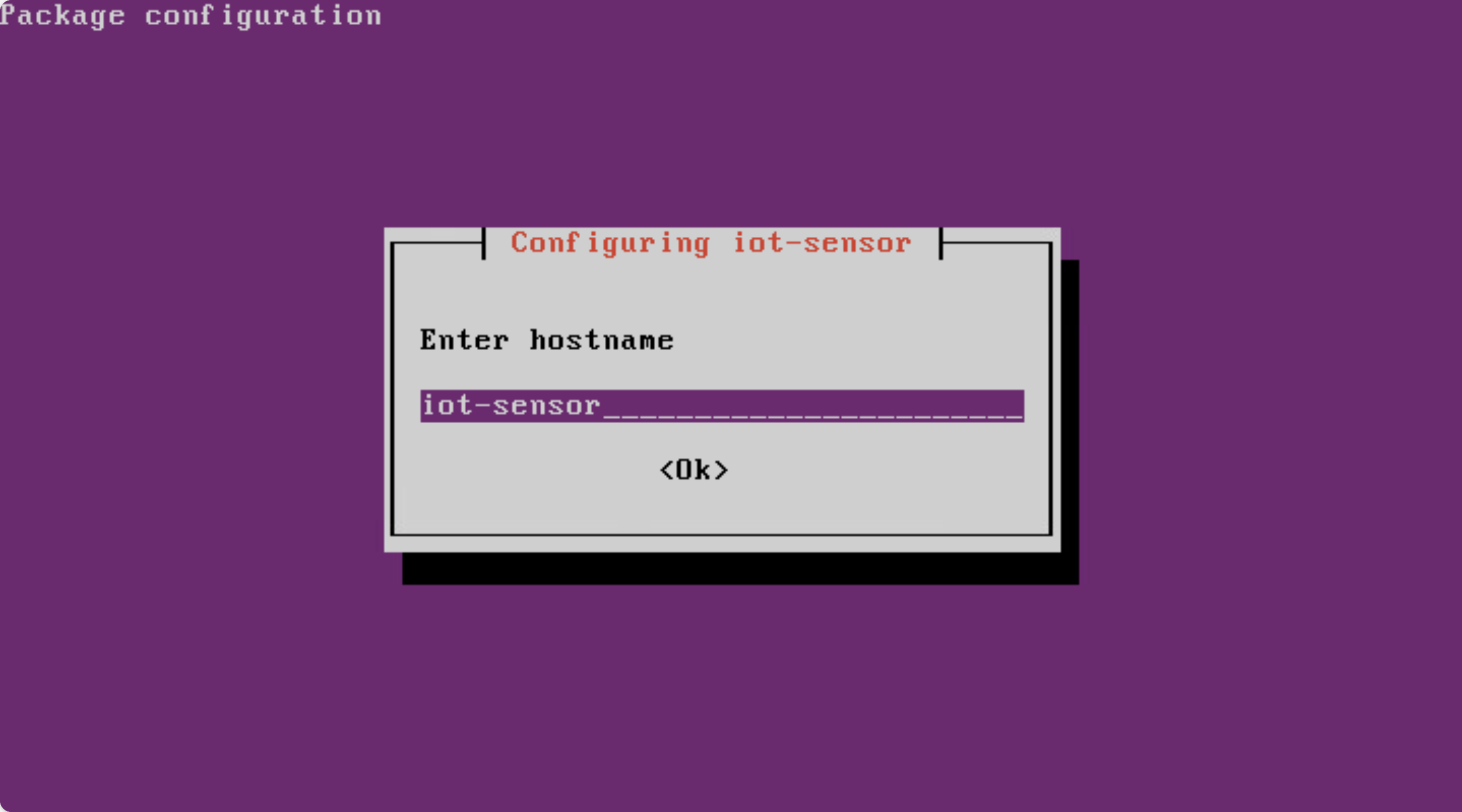 Screenshot of the Enter hostname screen.