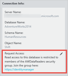 Example data asset properties pane, showing the Connection Info section with the Request Access textbox highlighted.