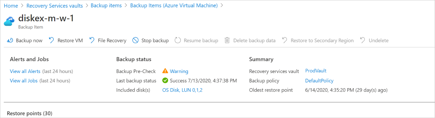 Screenshot that shows the included and excluded disks on the backup details pane.