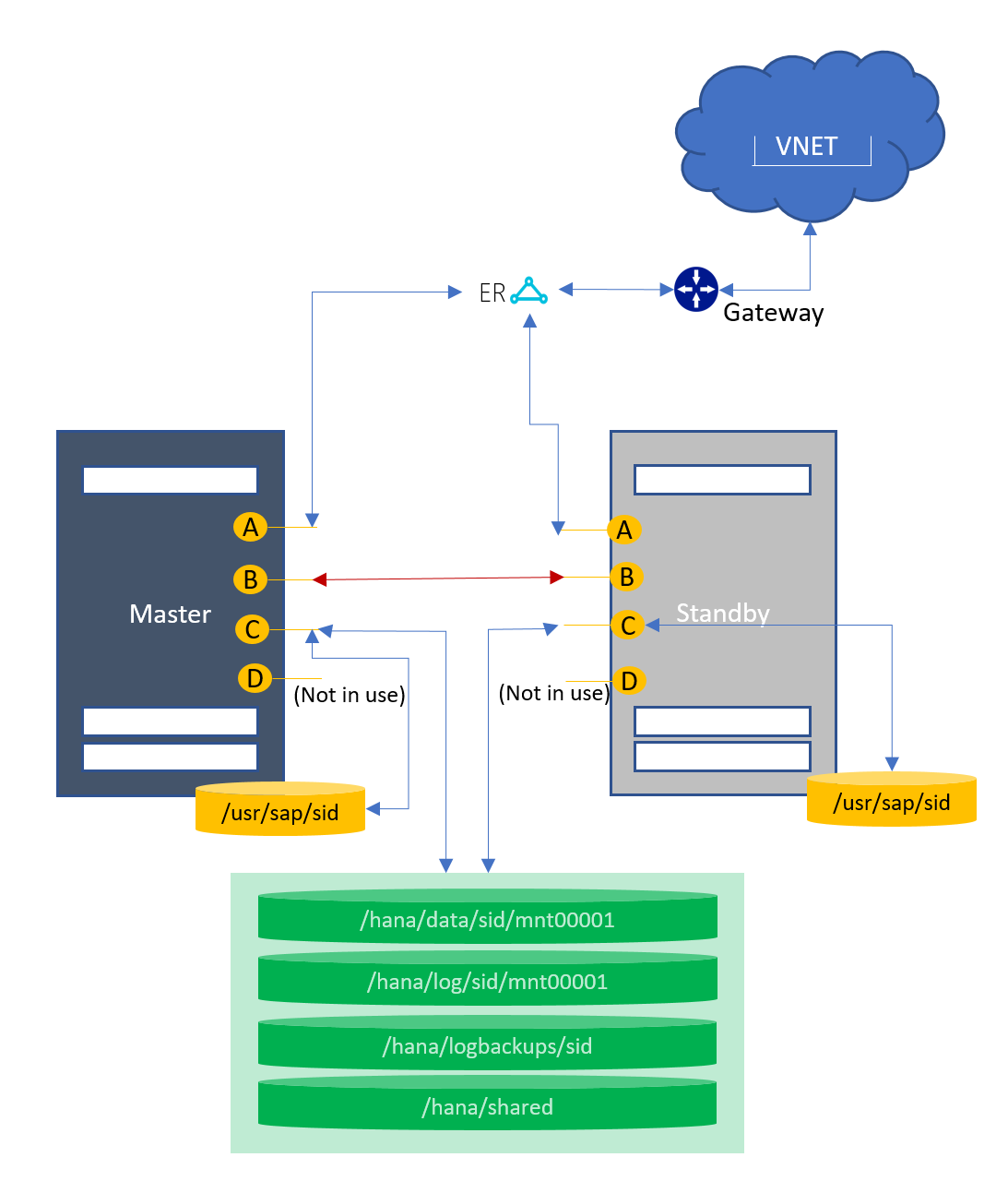 Host auto failover (1+1)