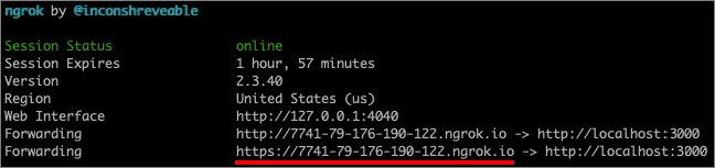 Screenshot that shows how to get the ngrok public URL.