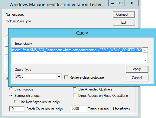 Screenshot of WMI query